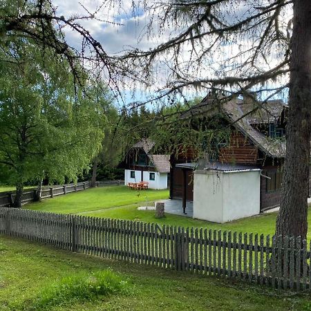 Ferienhaus Waldtraum Sankt Veit an der Glan Dış mekan fotoğraf