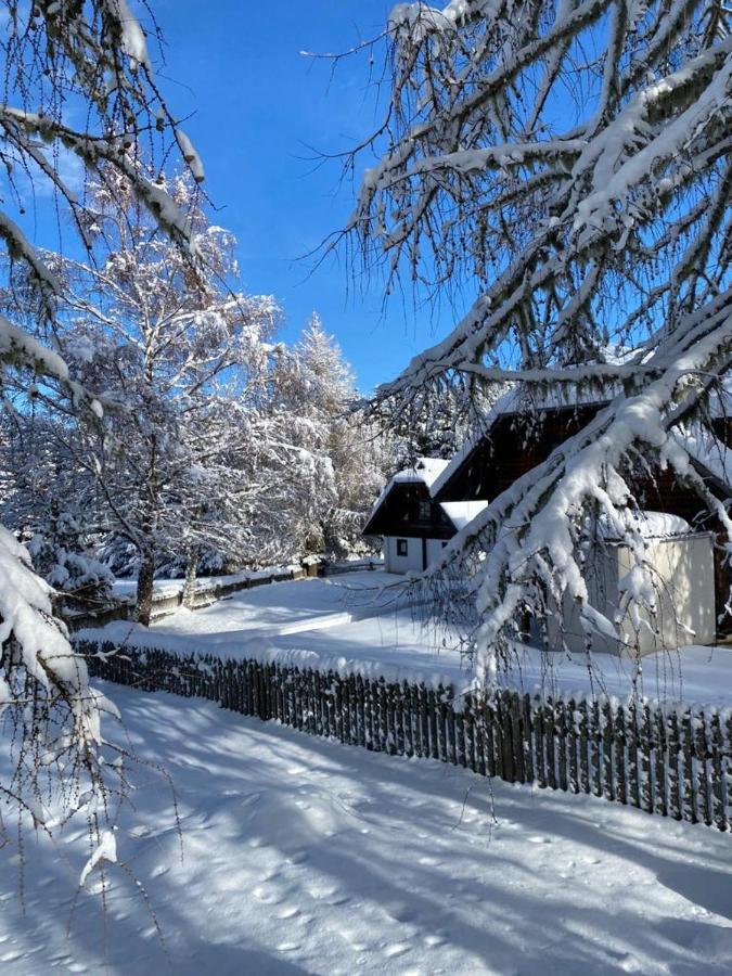 Ferienhaus Waldtraum Sankt Veit an der Glan Dış mekan fotoğraf