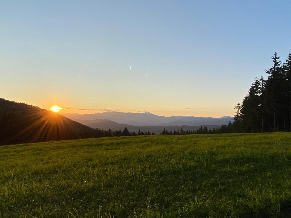 Ferienhaus Waldtraum Sankt Veit an der Glan Dış mekan fotoğraf